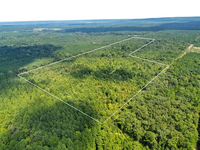 a view of a field with an ocean