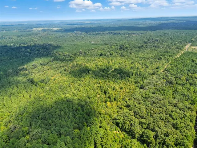 a view of a green field with lots of bushes