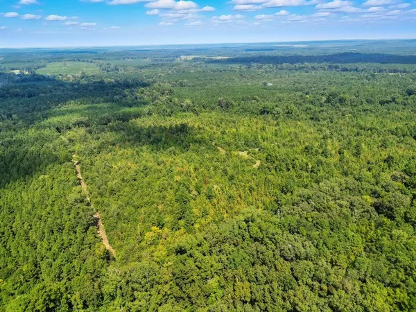 a view of a field with an ocean