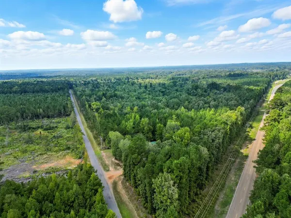 a view of a green yard with large trees