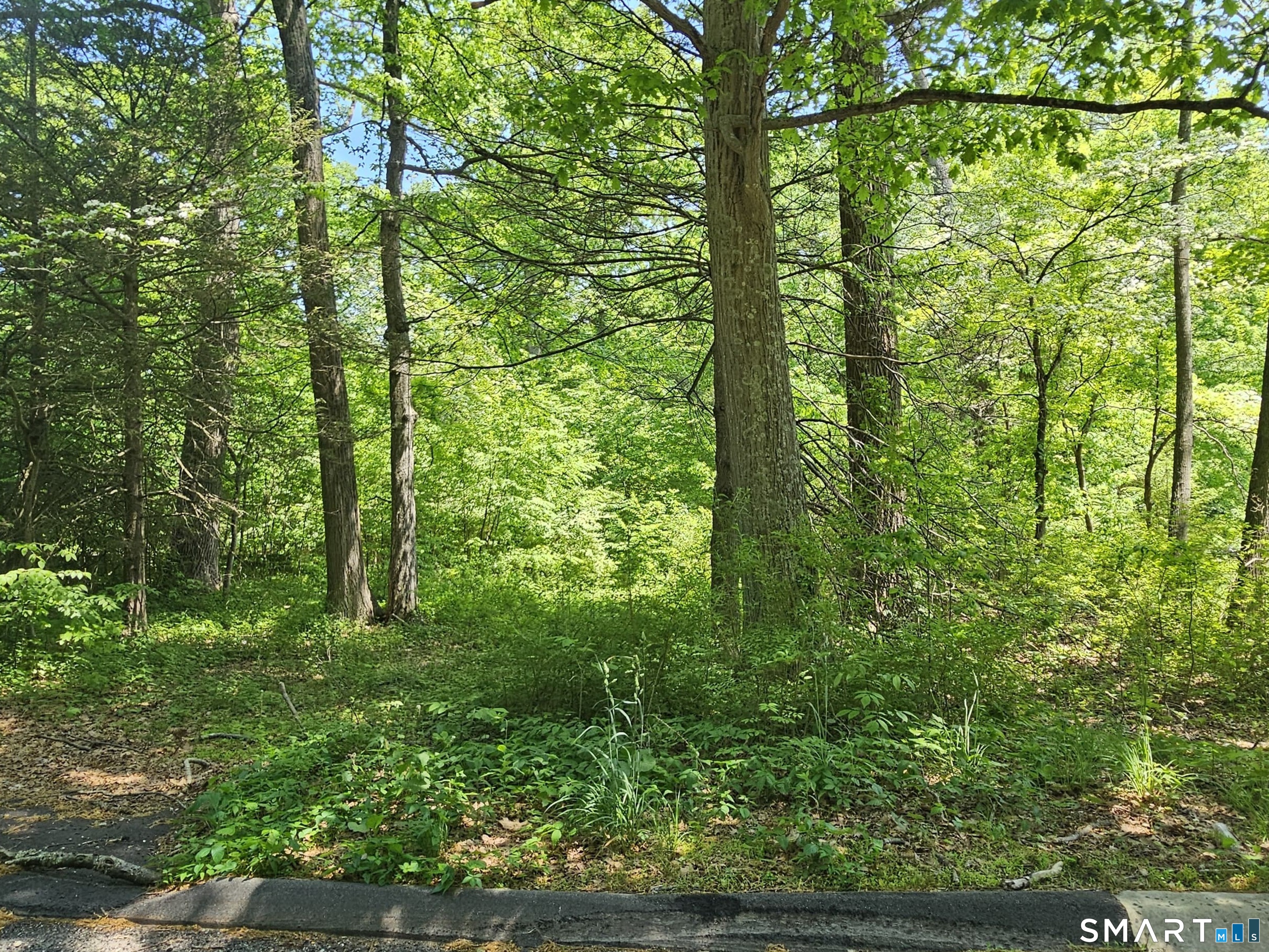 70 Hiram Hill Road Monroe, CT 06468 - Photo 9 of 12 a view of outdoor space and garden