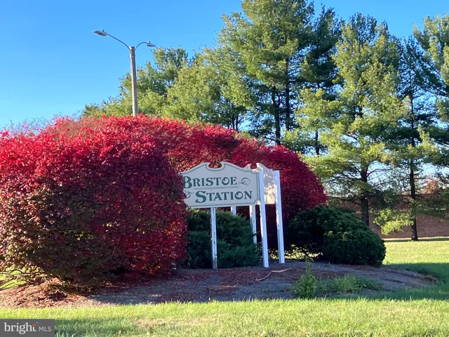 a view of a house with a yard potted plants