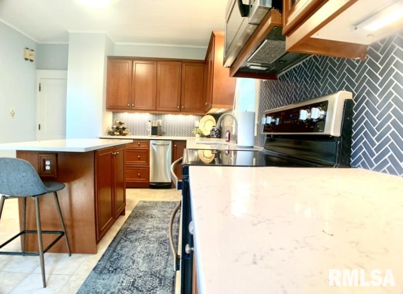 305 South Douglas Avenue Springfield, IL 62704 - Photo 9 of 26