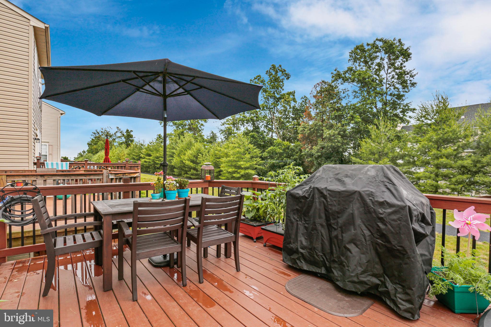 25286 Gothic Square Chantilly, VA 20152 - Photo 28 of 32 ~ It's Summer Time, that means Grilling Time! ~