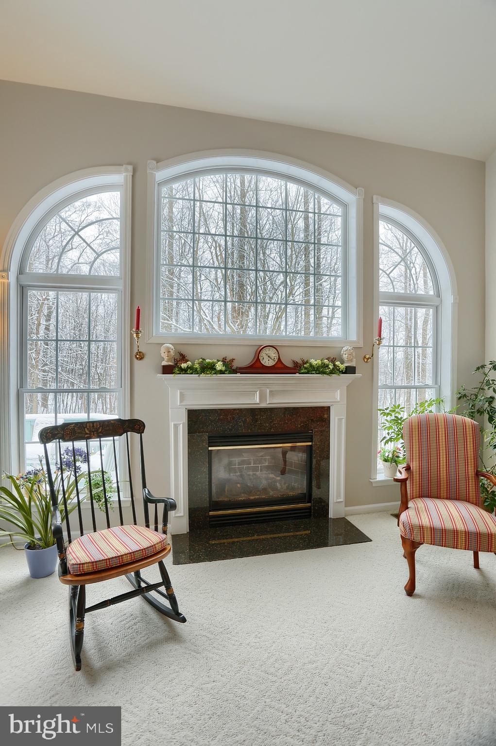 362 Timber Ridge Road Morgantown, PA 19543 - Photo 11 of 52 WOW-Wall of Windows and Gas Fireplace