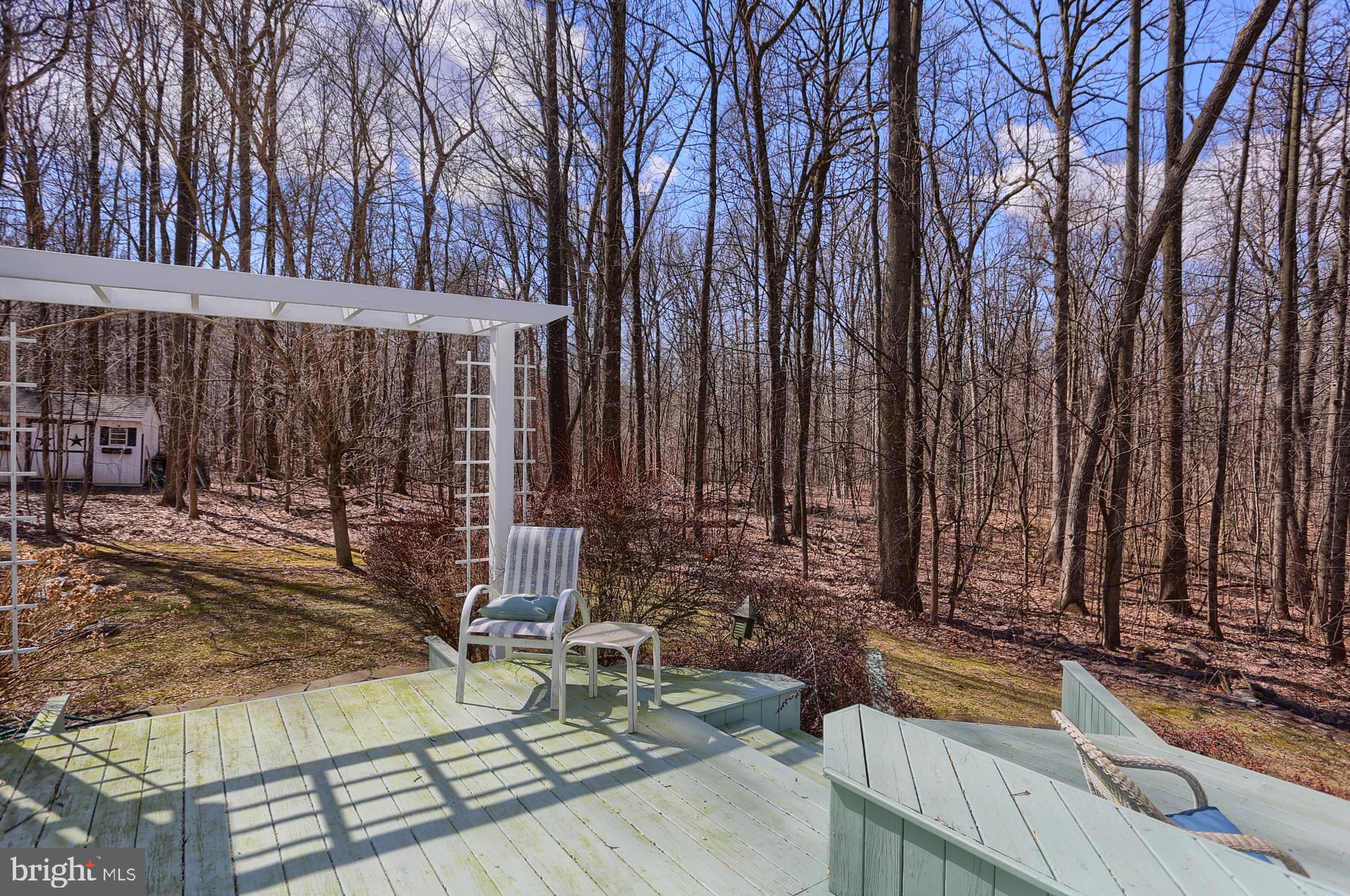 362 Timber Ridge Road Morgantown, PA 19543 - Photo 45 of 52 View into Woods