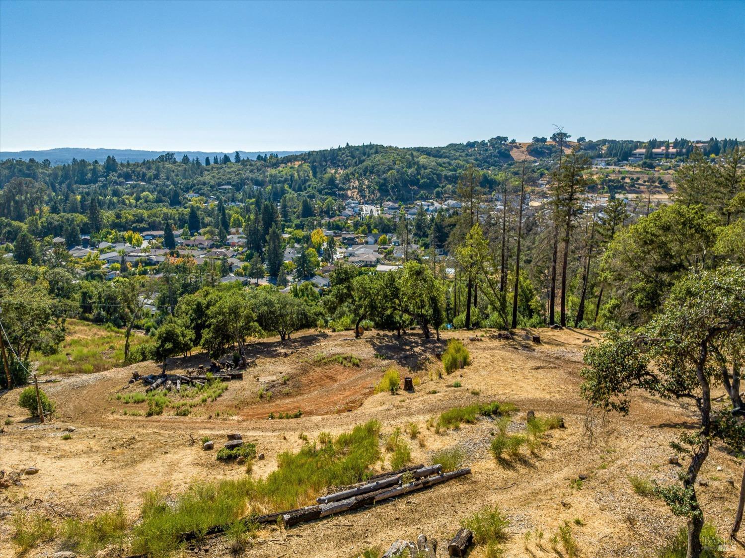 a view of a yard with a tree