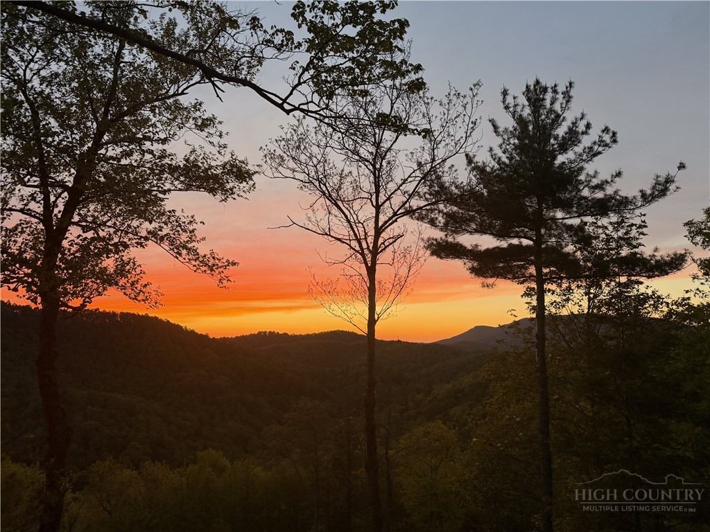 186 Sunset Ridge Drive Boone, NC 28607 - Photo 9 of 50