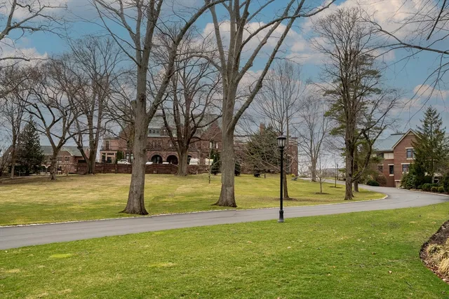 a view of yard with tree