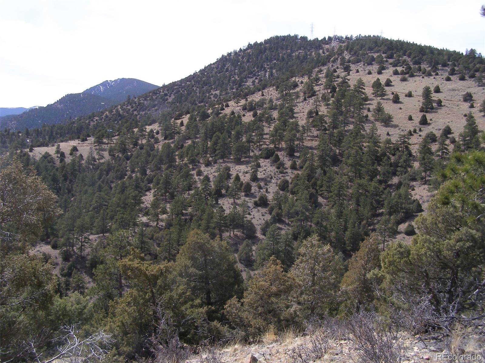 Laughing Valley Ranch Roads Idaho Springs, CO 80452 - Photo 8 of 11 Gallery Image 8