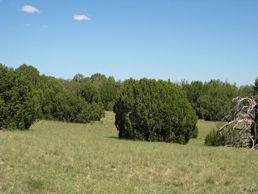 68 Willow Spring Drive Rye, CO 81069 - Photo 14 of 28 Gallery Image 14