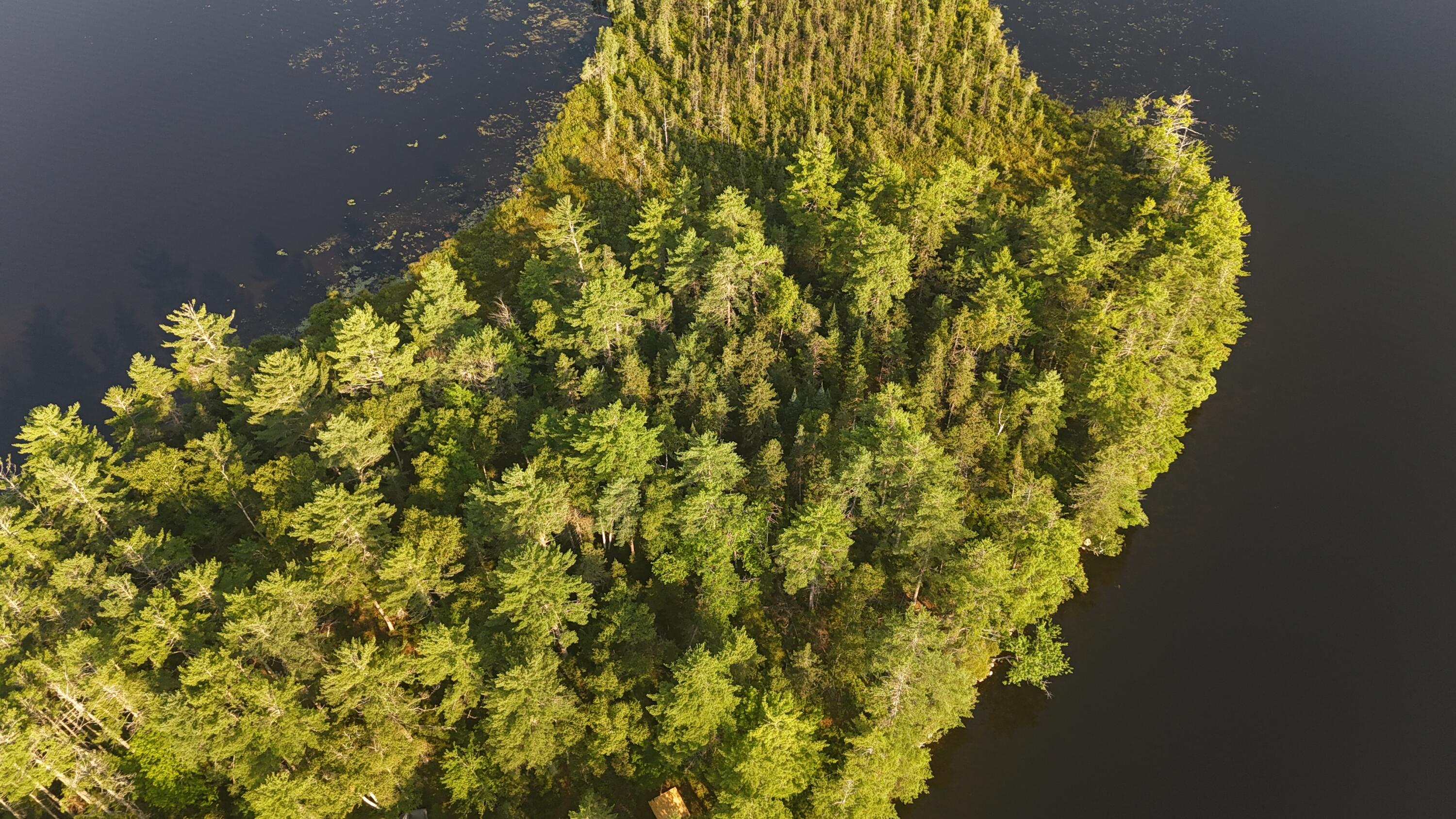 735 Mountain Road Howland, ME 04448 - Photo 4 of 21 DJI_20240802075521_0184_D