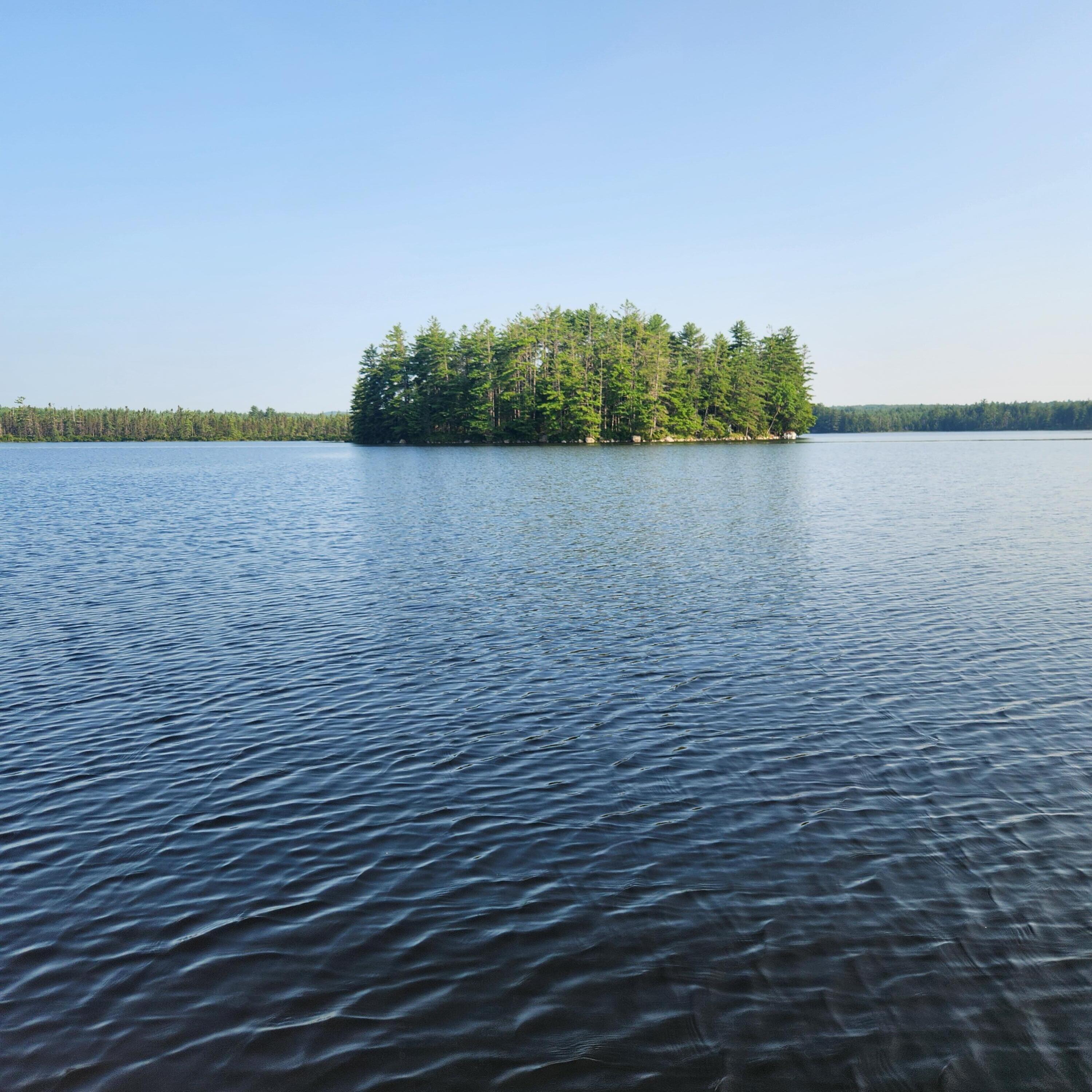 735 Mountain Road Howland, ME 04448 - Photo 5 of 21 20240802_082208