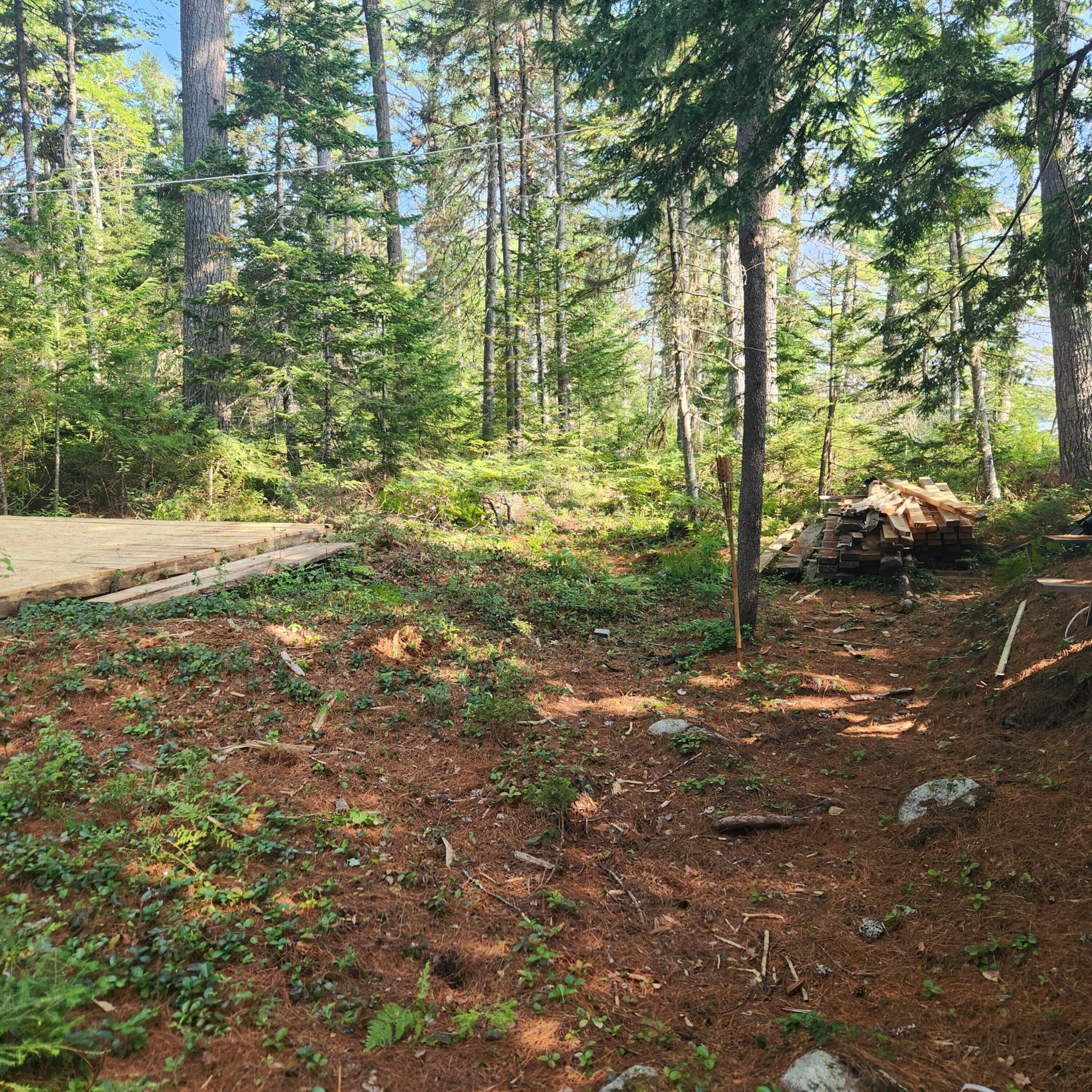 735 Mountain Road Howland, ME 04448 - Photo 8 of 21 20240802_084934