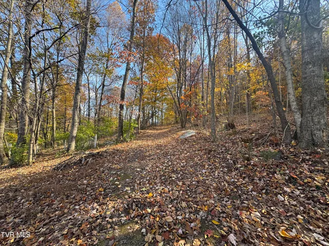 $60,000 | 119 Rhododendron Lane, Unit 56, Johnson City, TN 37601