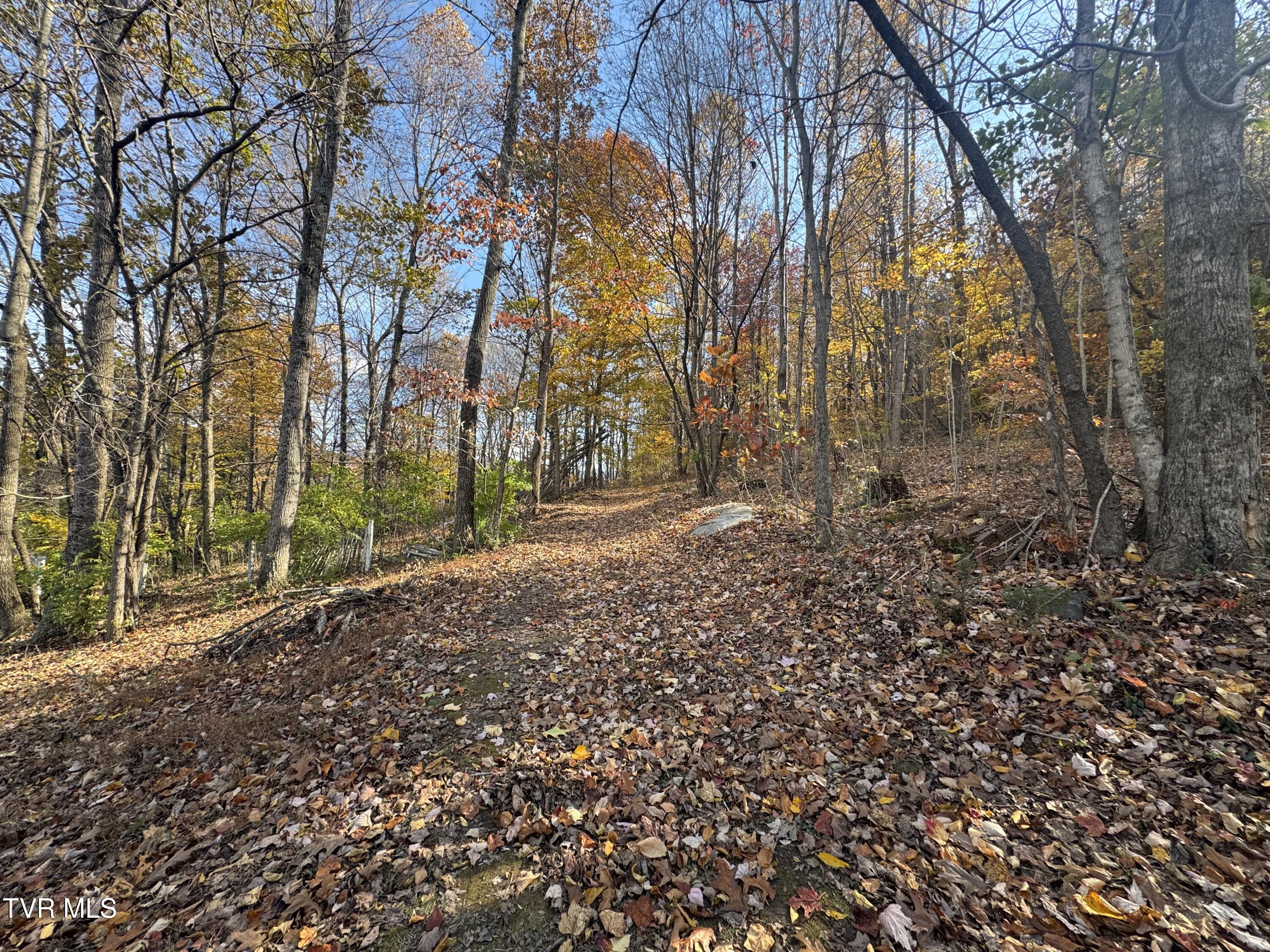 119 Rhododendron Lane, Unit 56 Johnson City, TN 37601 - Photo 1 of 11 IMG_5212