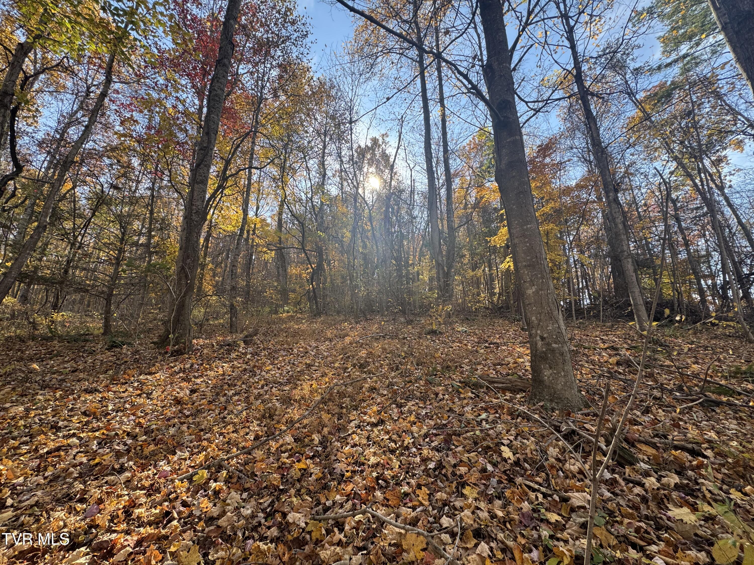 119 Rhododendron Lane, Unit 56 Johnson City, TN 37601 - Photo 2 of 11 IMG_5213