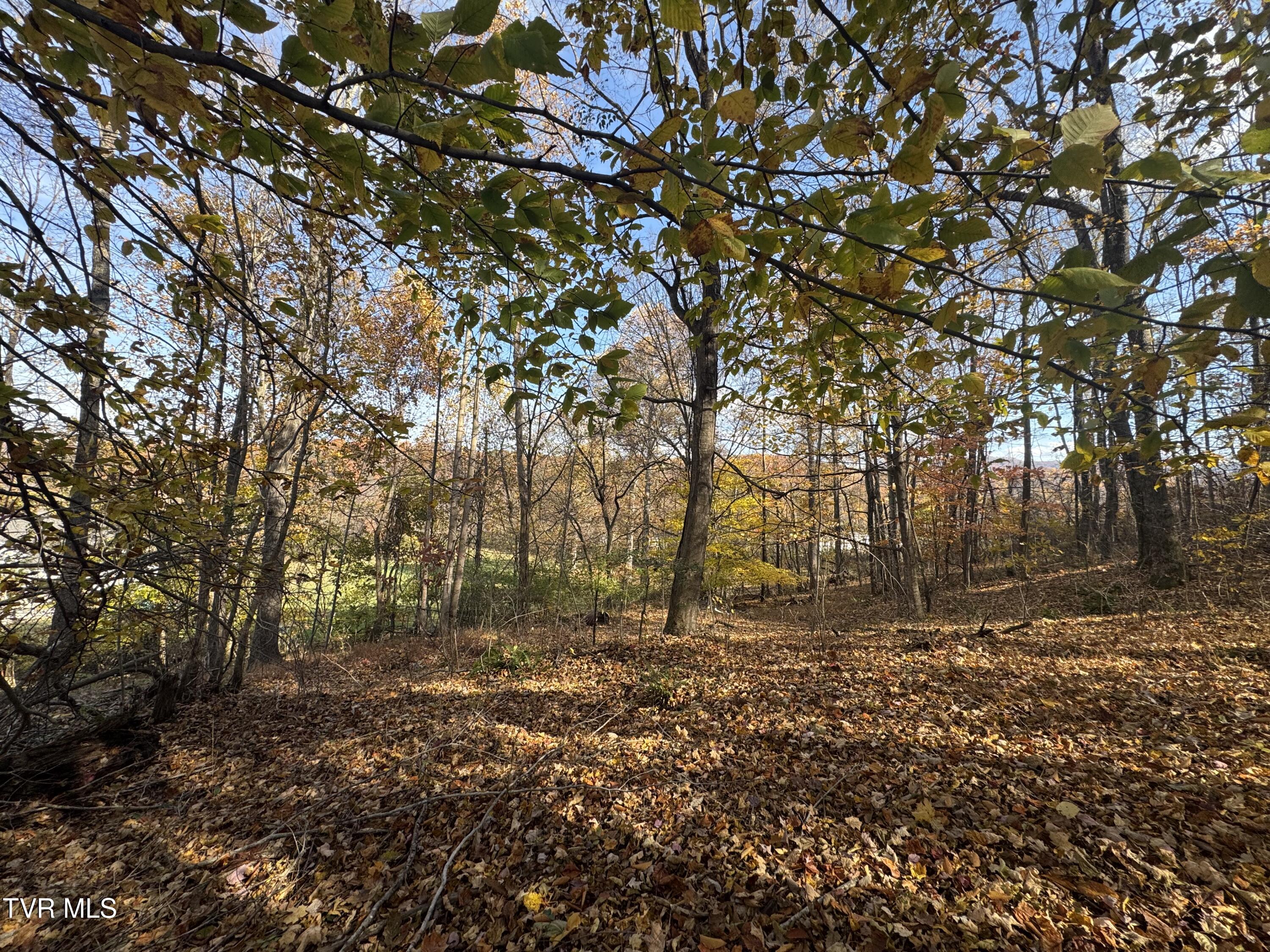 119 Rhododendron Lane, Unit 56 Johnson City, TN 37601 - Photo 3 of 11 IMG_5214