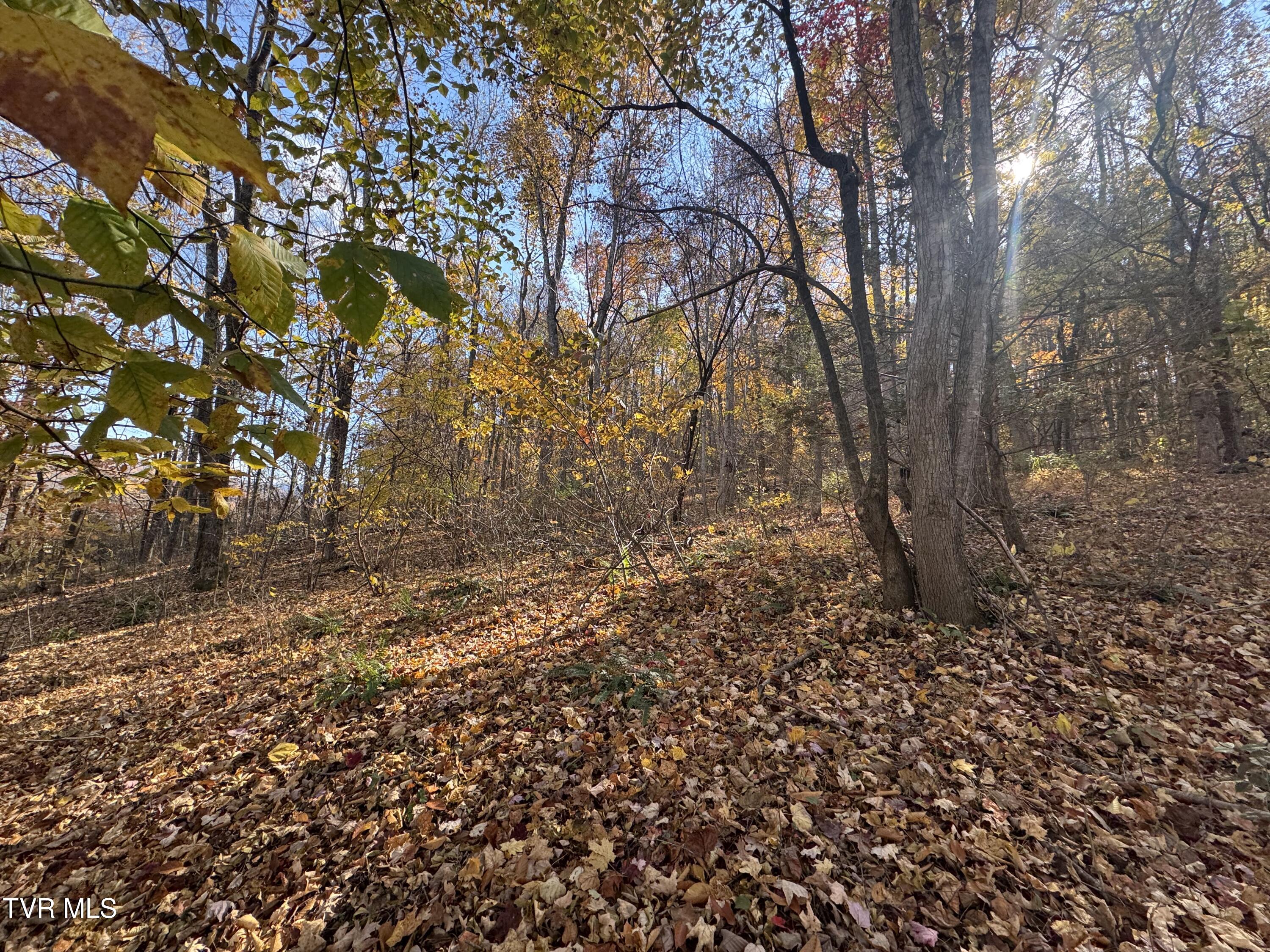 119 Rhododendron Lane, Unit 56 Johnson City, TN 37601 - Photo 4 of 11 IMG_5215