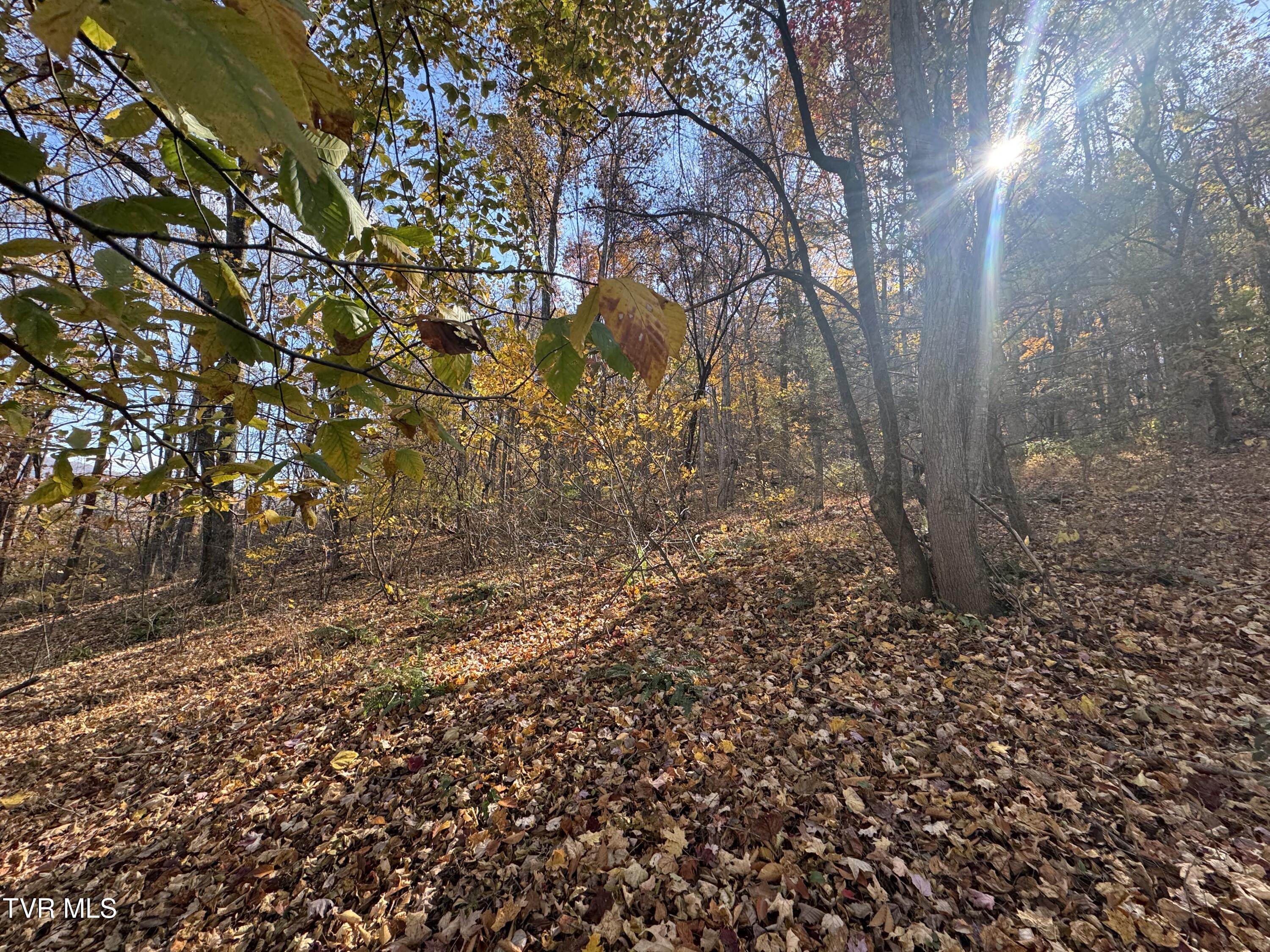 119 Rhododendron Lane, Unit 56 Johnson City, TN 37601 - Photo 5 of 11 IMG_5216