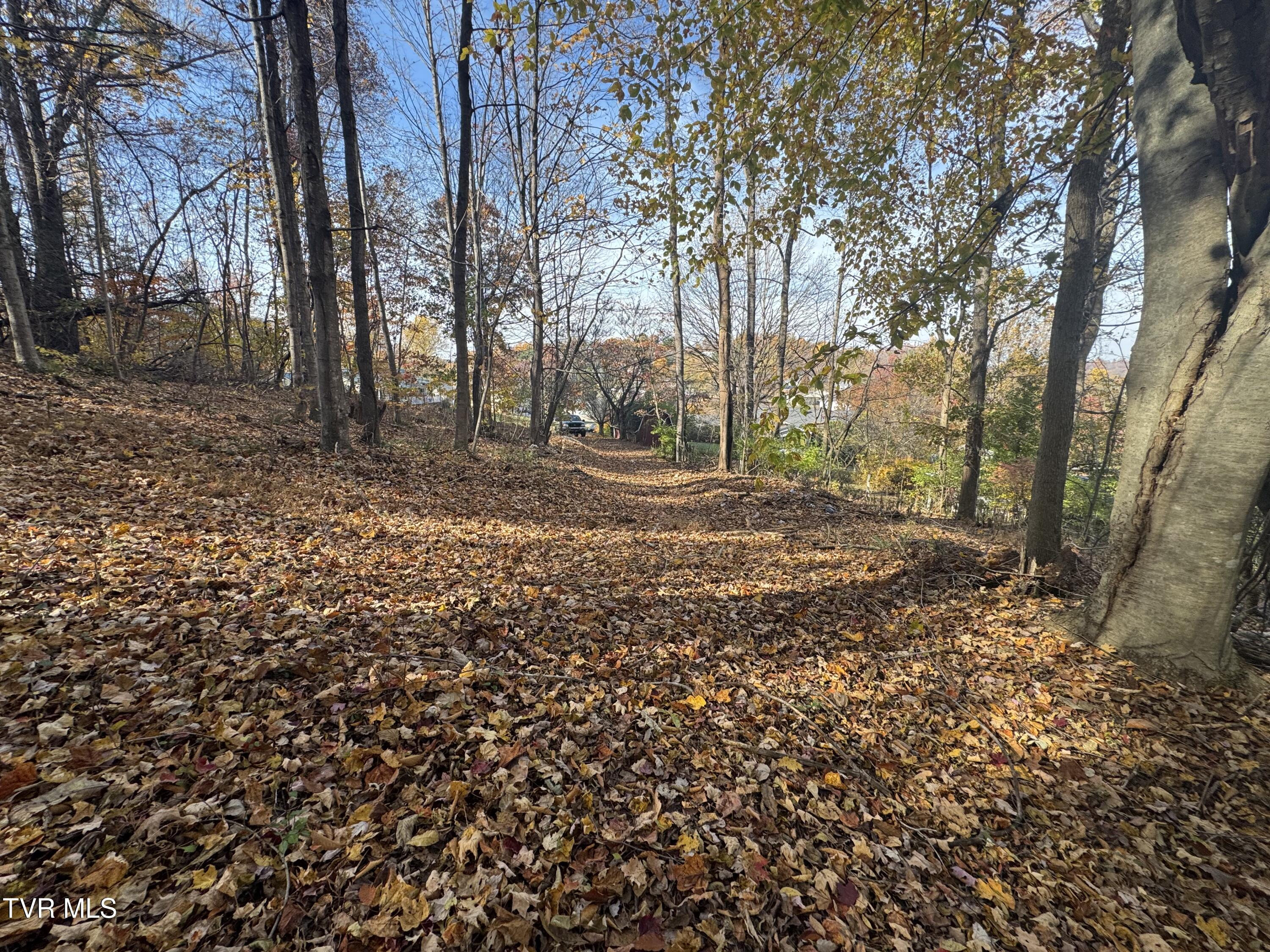 119 Rhododendron Lane, Unit 56 Johnson City, TN 37601 - Photo 6 of 11 IMG_5217