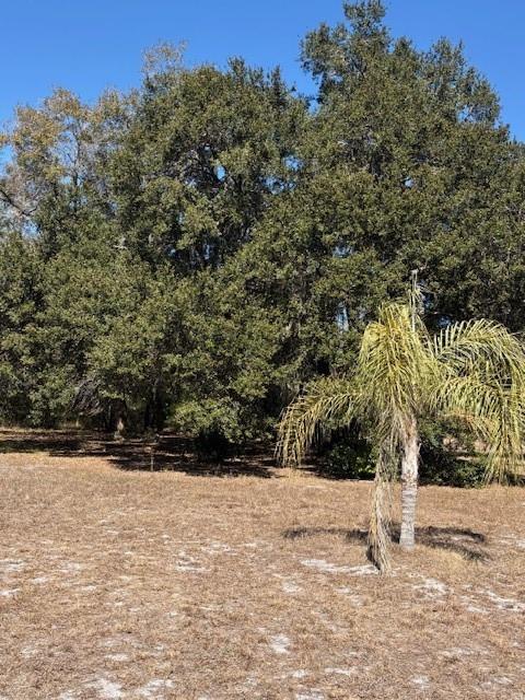 19128 Dorman Road Lithia, FL 33547 - Photo 11 of 11