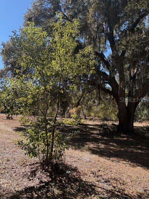 19128 Dorman Road Lithia, FL 33547 - Photo 2 of 11