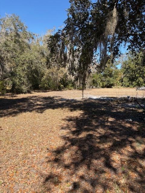 19128 Dorman Road Lithia, FL 33547 - Photo 3 of 11