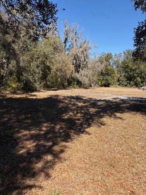 19128 Dorman Road Lithia, FL 33547 - Photo 4 of 11