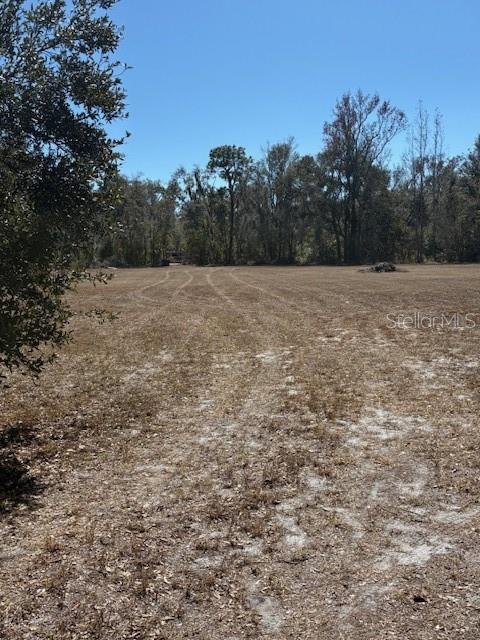 19128 Dorman Road Lithia, FL 33547 - Photo 6 of 11