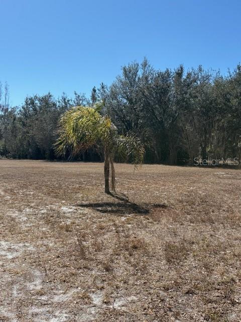 19128 Dorman Road Lithia, FL 33547 - Photo 7 of 11