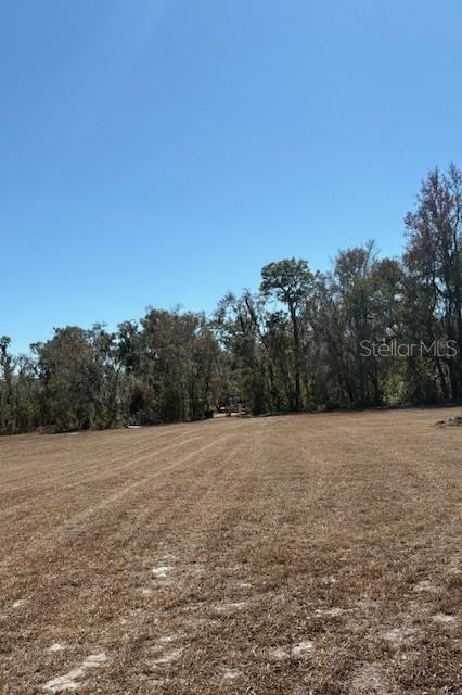 19128 Dorman Road Lithia, FL 33547 - Photo 8 of 11