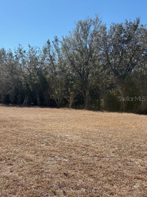 19128 Dorman Road Lithia, FL 33547 - Photo 9 of 11