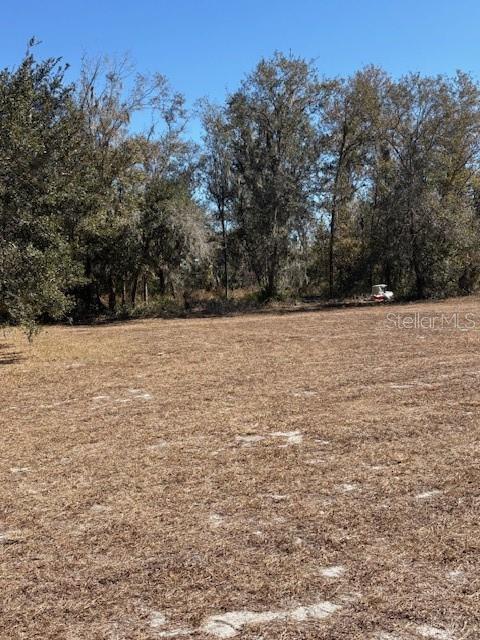 19128 Dorman Road Lithia, FL 33547 - Photo 10 of 11