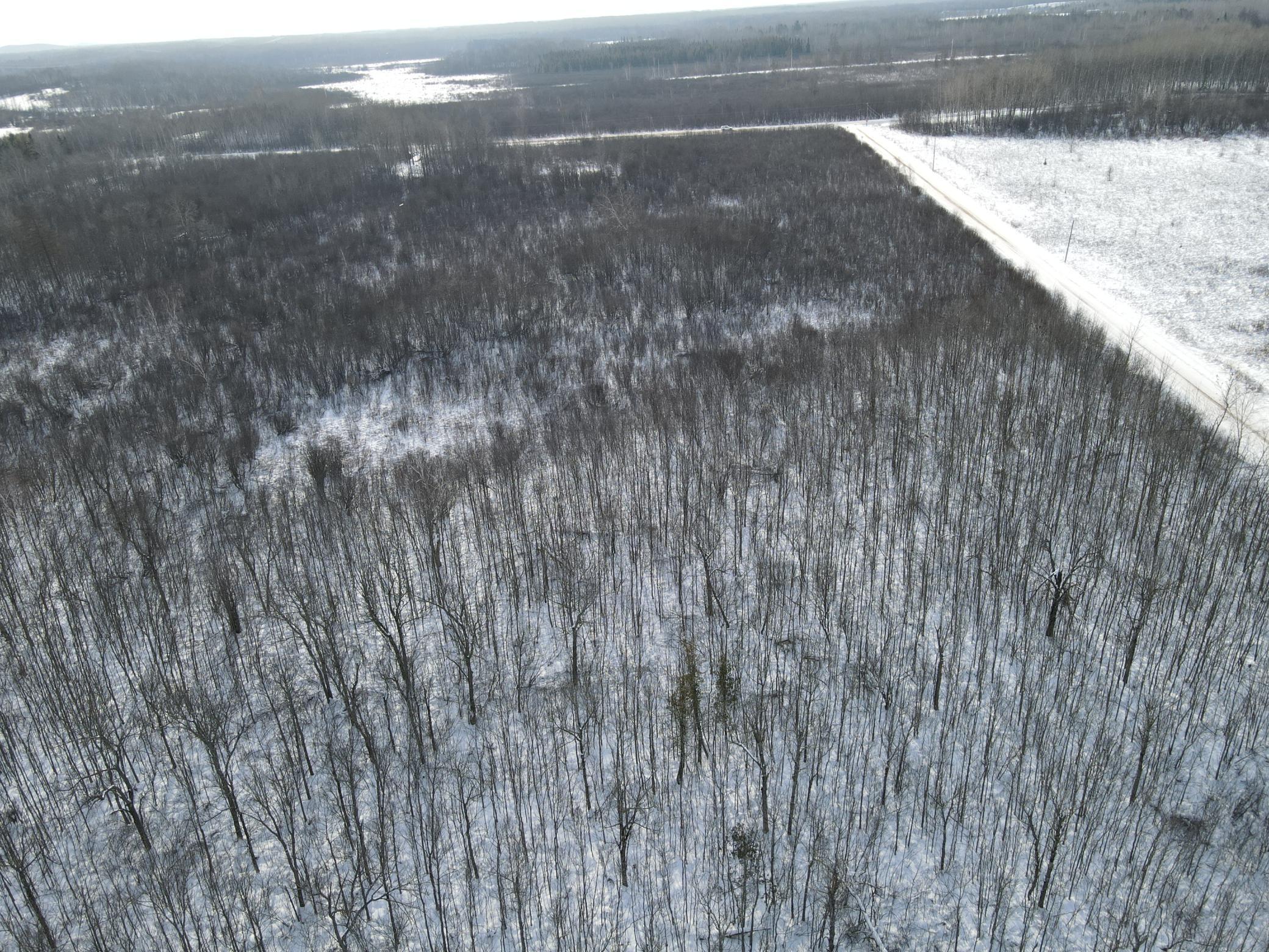 Tbd Seville Road Saginaw, MN 55779 - Photo 17 of 19