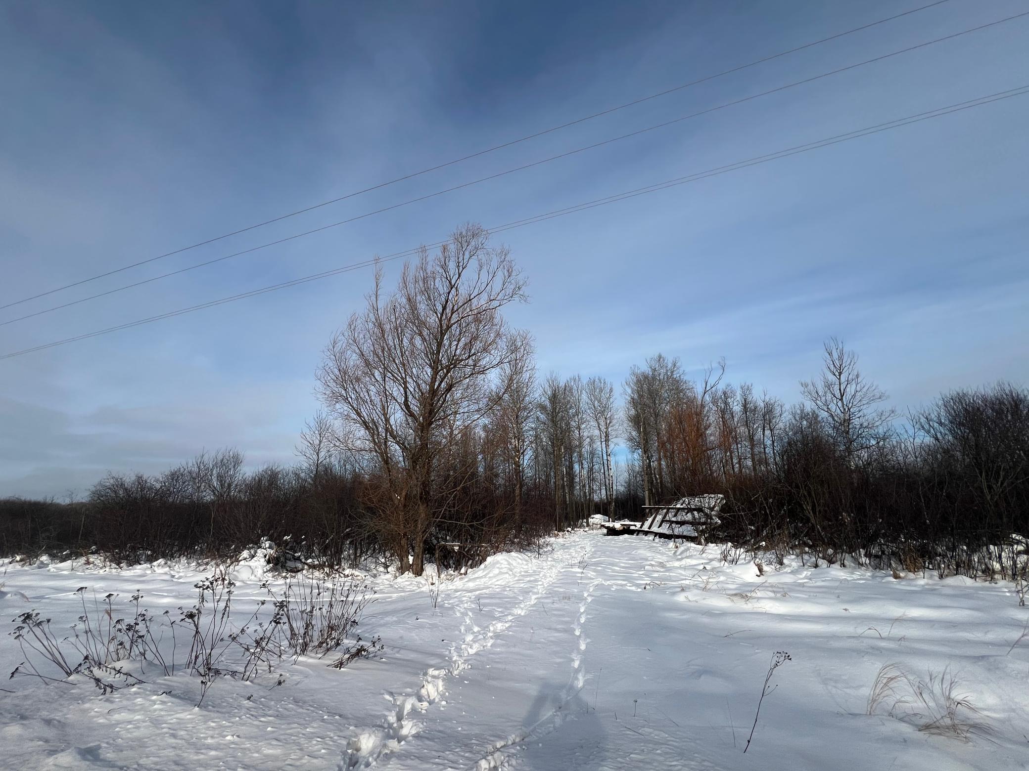 Tbd Seville Road Saginaw, MN 55779 - Photo 19 of 19