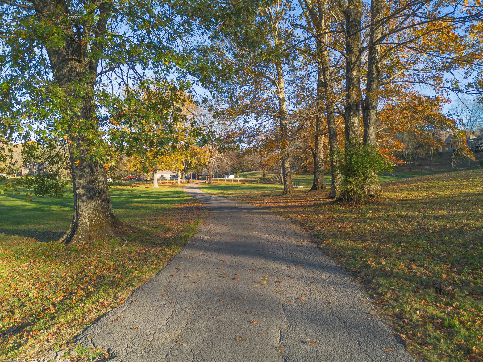 2115 Rock Springs Road Columbia, TN 38401 - Photo 29 of 44 a view of dirt yard
