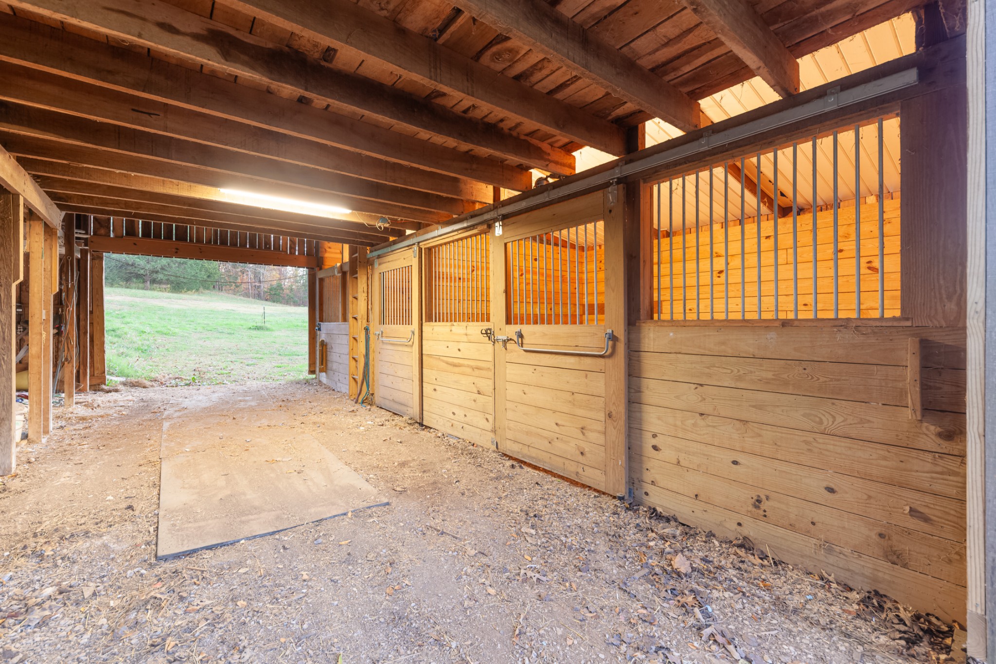 2115 Rock Springs Road Columbia, TN 38401 - Photo 38 of 44 a view of back yard