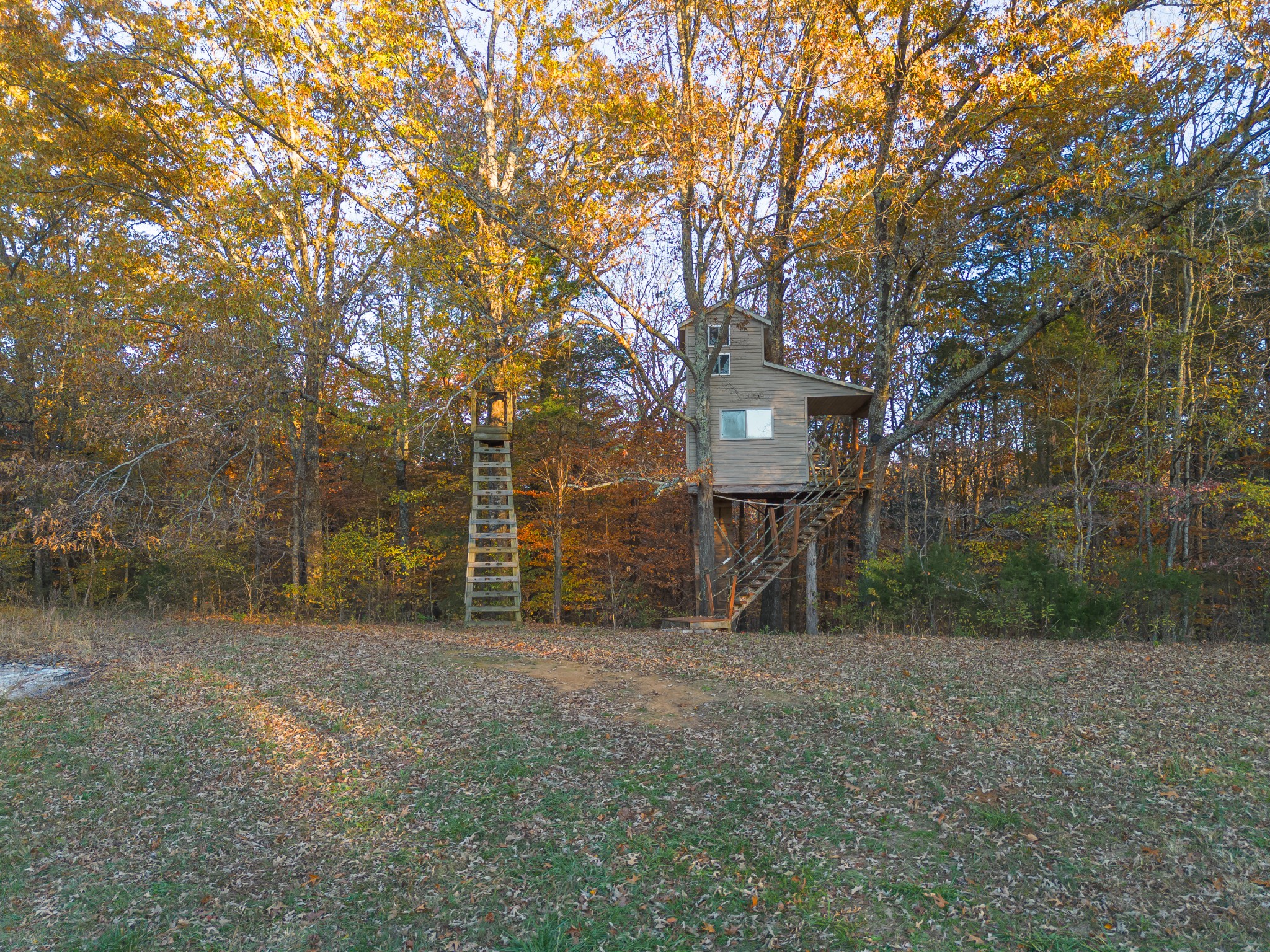 2115 Rock Springs Road Columbia, TN 38401 - Photo 39 of 44 a view of a backyard with large trees