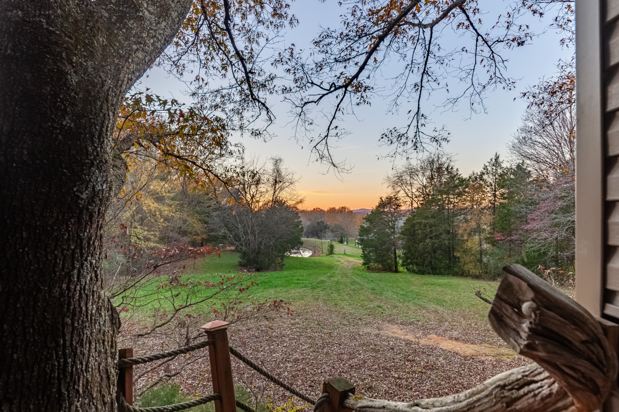 2115 Rock Springs Road Columbia, TN 38401 - Photo 41 of 44 a view of a backyard with a garden