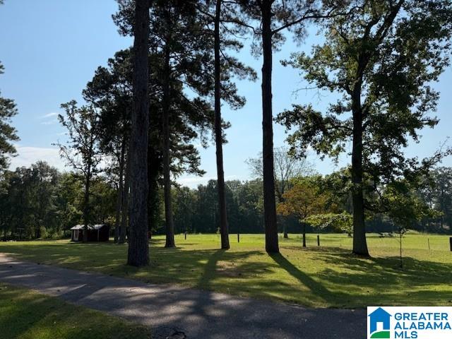 1616 Alexandria Road Weaver, AL 36277 - Photo 4 of 14