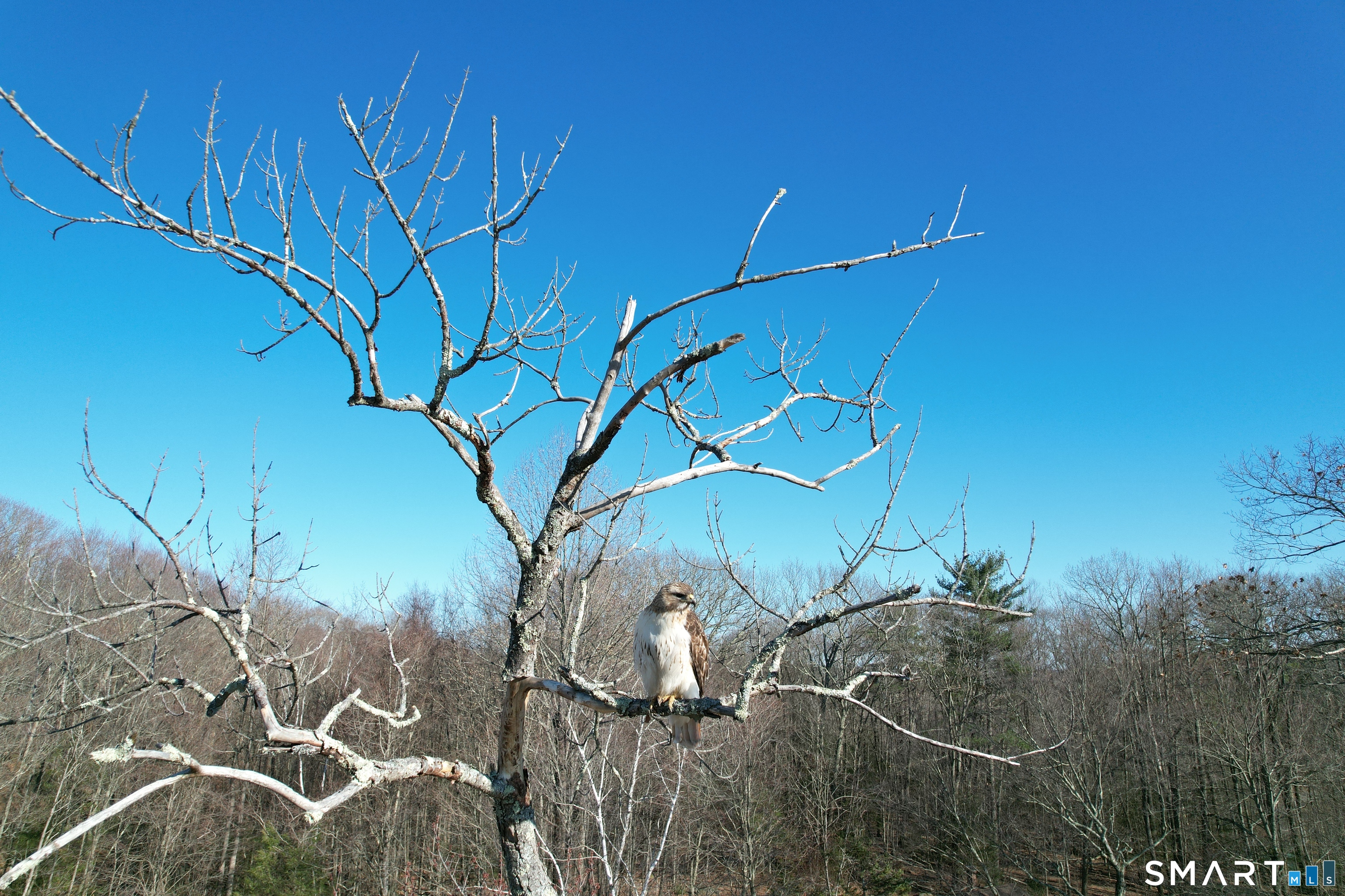 621 Wynne Road Winchester, CT 06098 - Photo 36 of 36