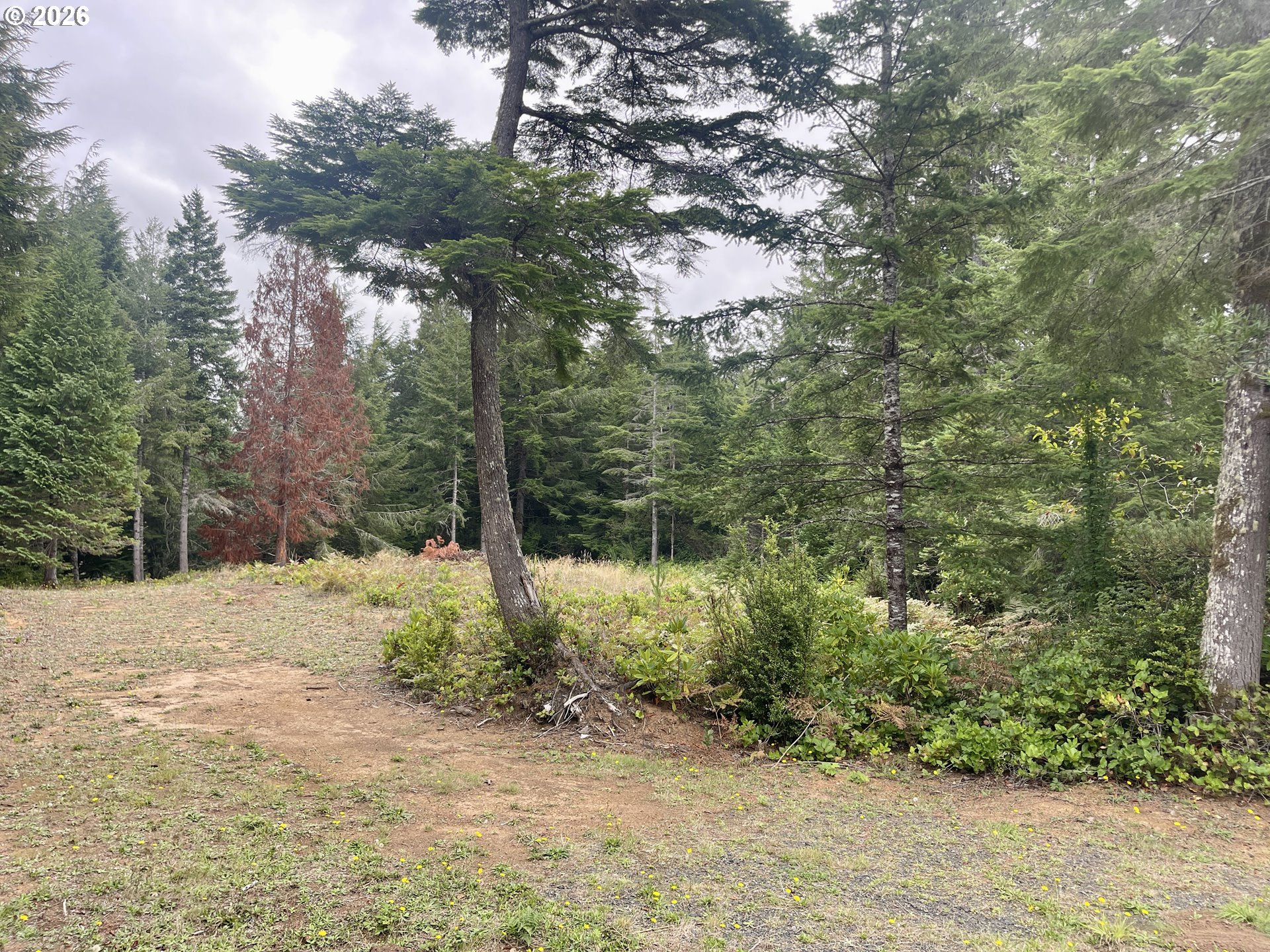 Sandpoint Road North Bend, OR 97459 - Photo 16 of 29 Gallery Image 16
