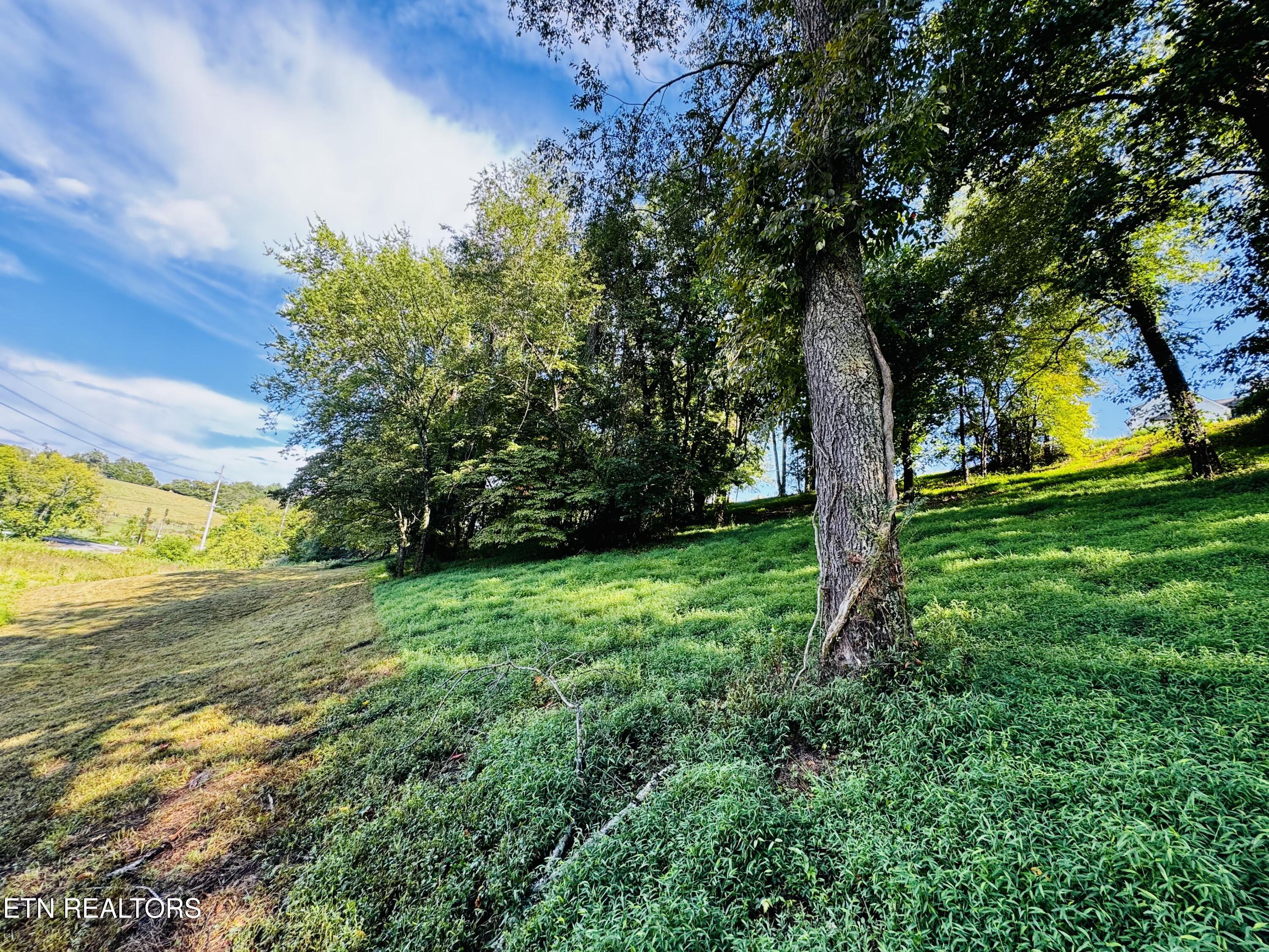 Lot 207 Clyde Ed Road Kodak, TN 37764 - Photo 12 of 14 IMG_3996