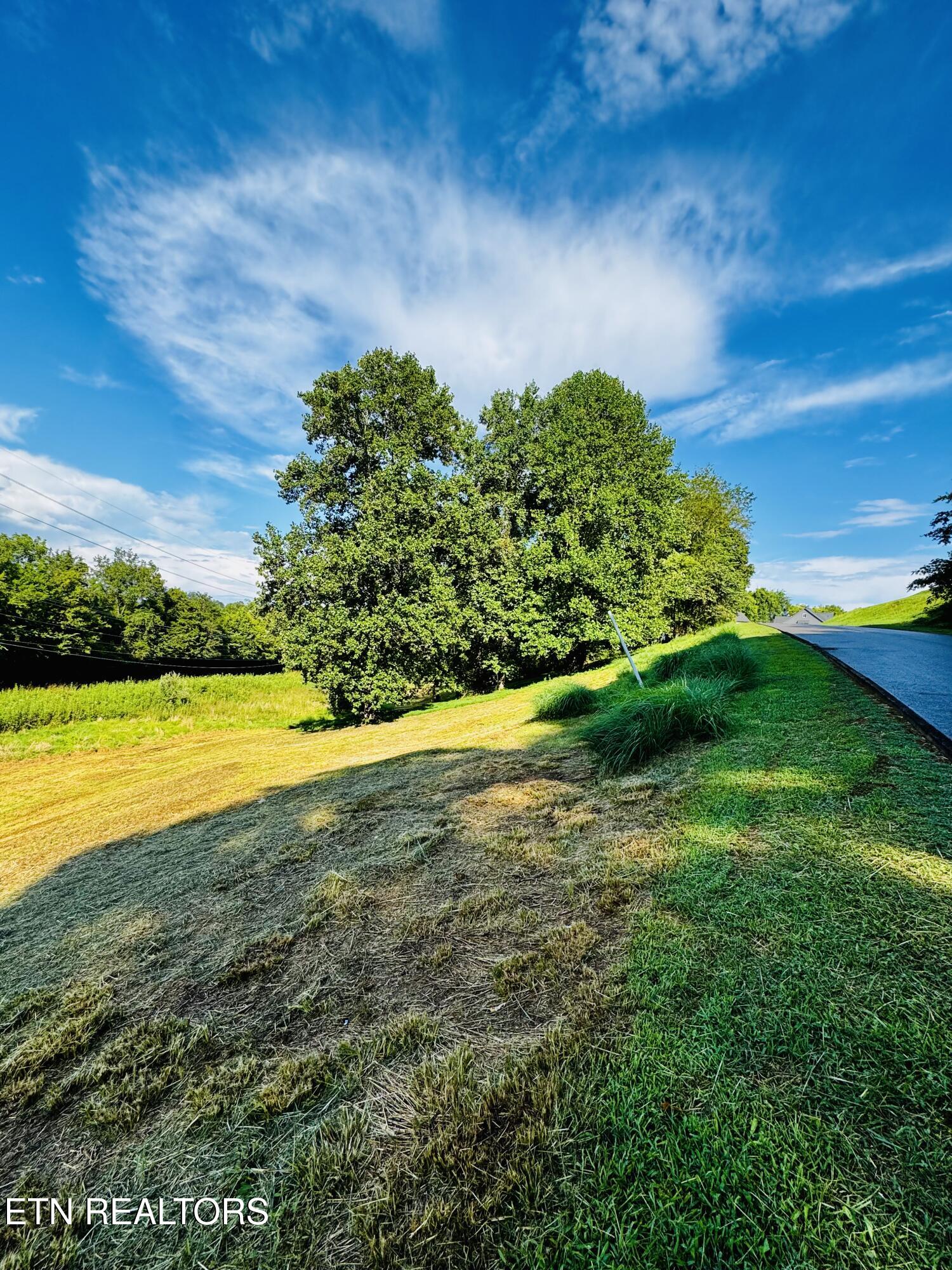 Lot 207 Clyde Ed Road Kodak, TN 37764 - Photo 13 of 14 IMG_3997