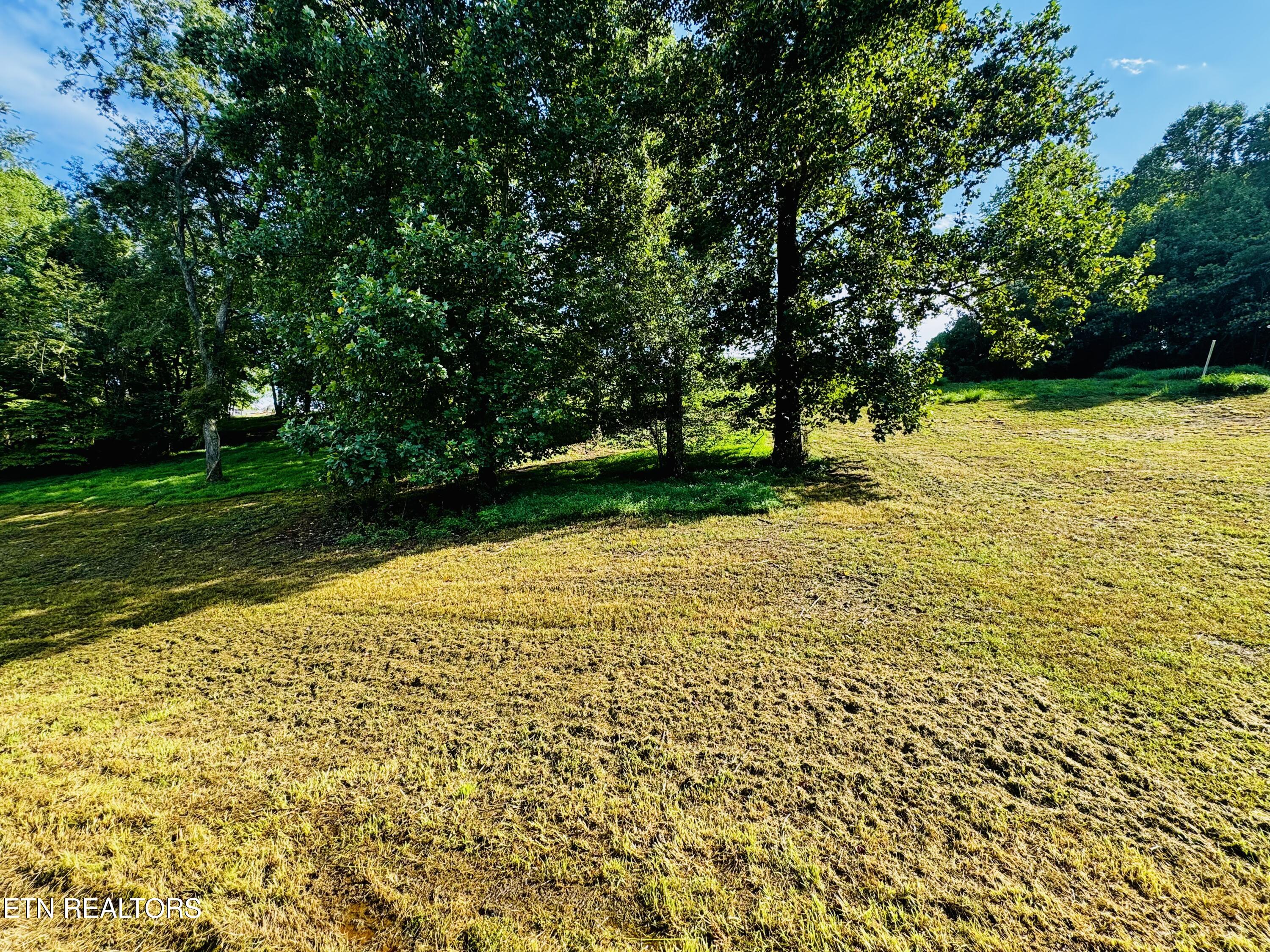 Lot 207 Clyde Ed Road Kodak, TN 37764 - Photo 2 of 14 IMG_3979