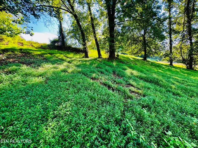 $89,900 | Lot 207 Clyde Ed Road, Kodak, TN 37764