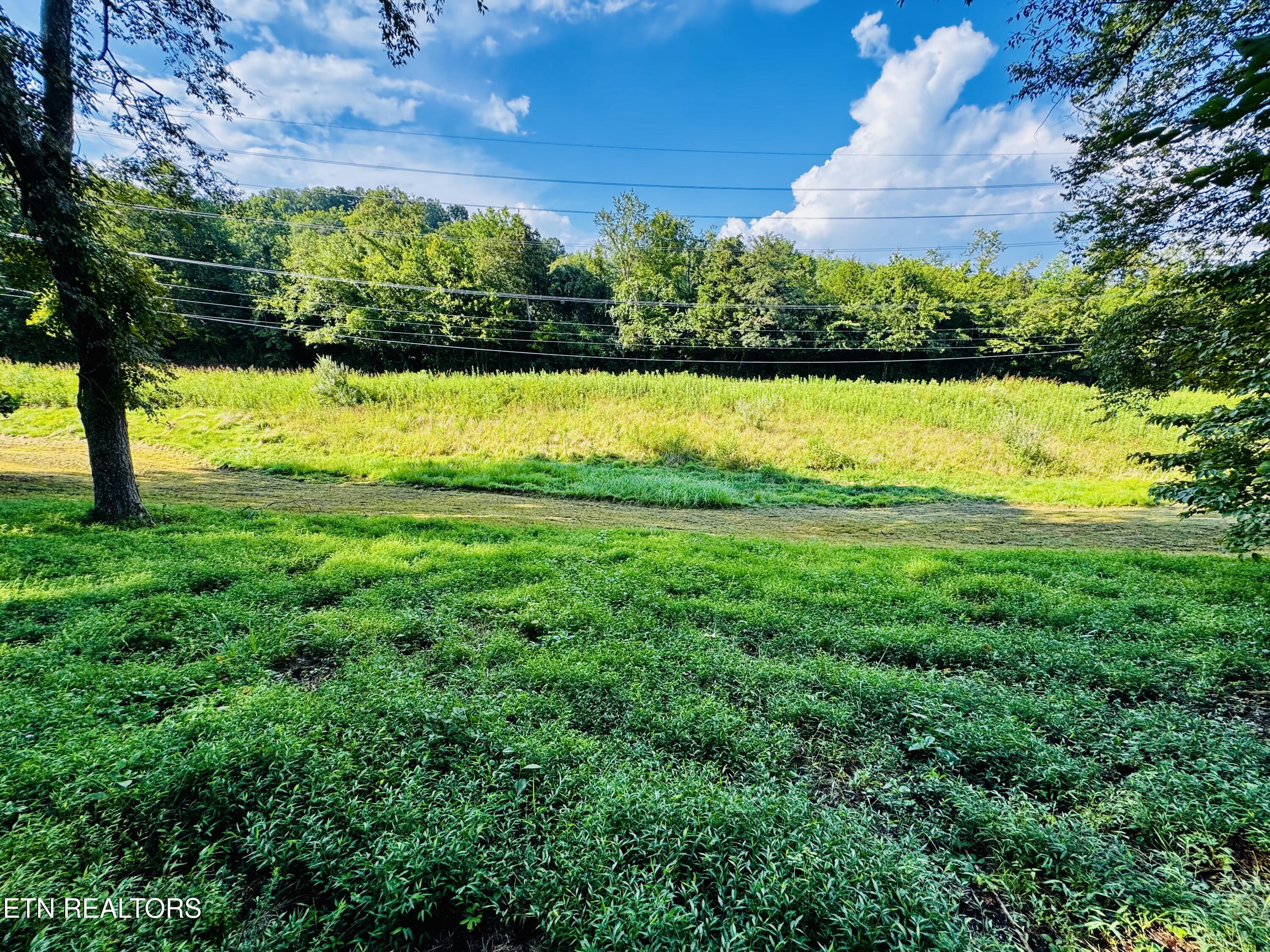 Lot 207 Clyde Ed Road Kodak, TN 37764 - Photo 4 of 14 IMG_3994