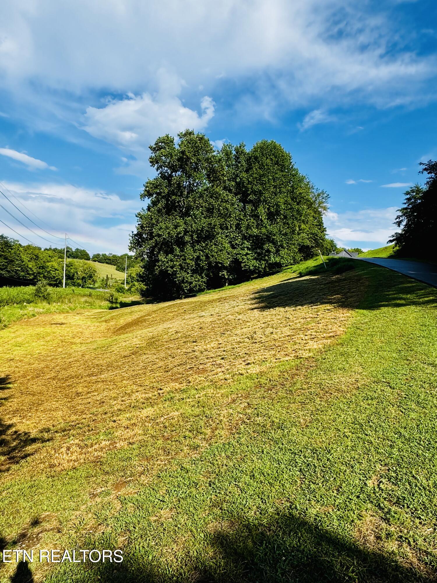 Lot 207 Clyde Ed Road Kodak, TN 37764 - Photo 5 of 14 IMG_3976