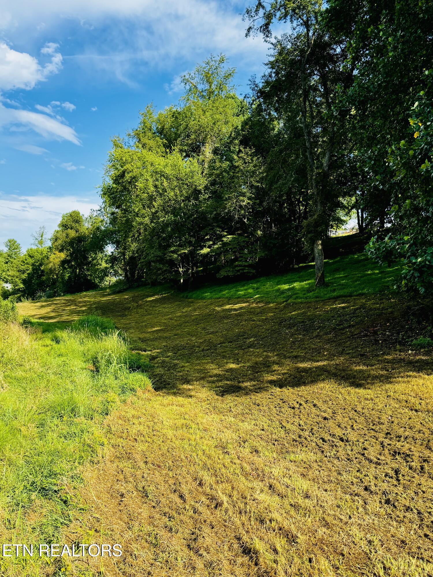 Lot 207 Clyde Ed Road Kodak, TN 37764 - Photo 6 of 14 IMG_3977